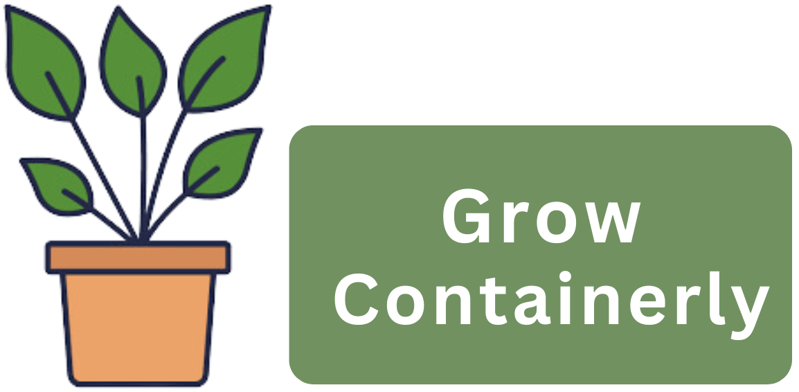 Plant in a container