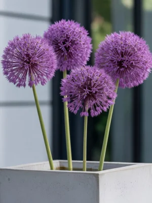 13 Best Fall Container Plants for Small Spaces 1 13 2